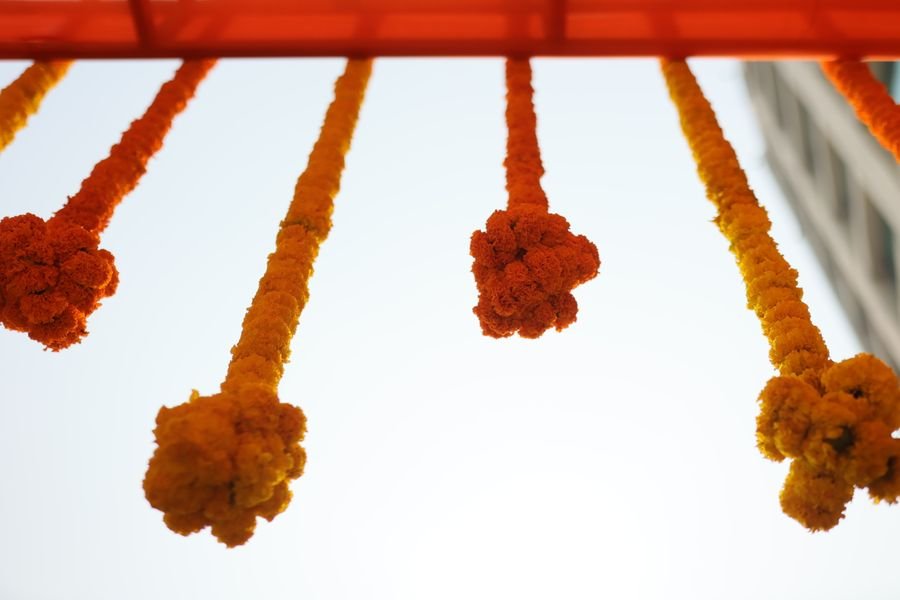 Marigold garland festoons for a festive cultural evening
